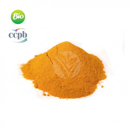 Curcuma BIO, 100g - Elixir Bio Curcuma BIO, 100g - Elixir Bio