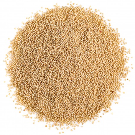 Graines d'Amarante, Paquet 400G - Carthage Nutrition Graines d'Amarante, Paquet 400G - Carthage Nutrition