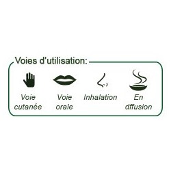 Huile Essentielle de Pamplemousse, 10ml - Aroma Végétal