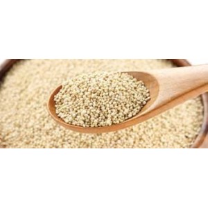Un super aliment, riche en protéines et acides gras polyinsaturés