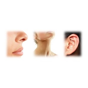 Nez, gorge et Oreille