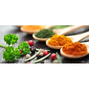Épices et condiments - Idéales pour relever le goût de vos plats
