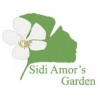Sidi Amor's Garden
