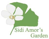 Sidi Amor's Garden