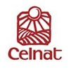 Celnat