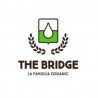 The Bridge